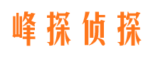 嘉黎侦探